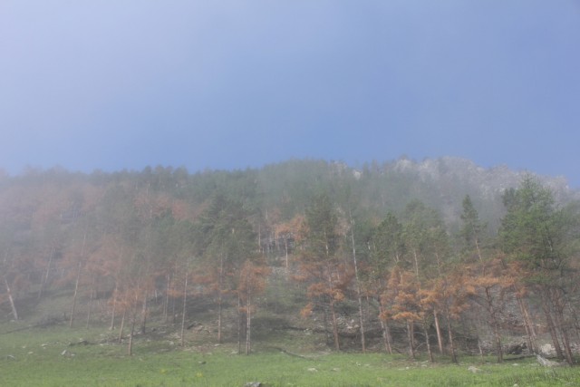 Байкал, 2011
