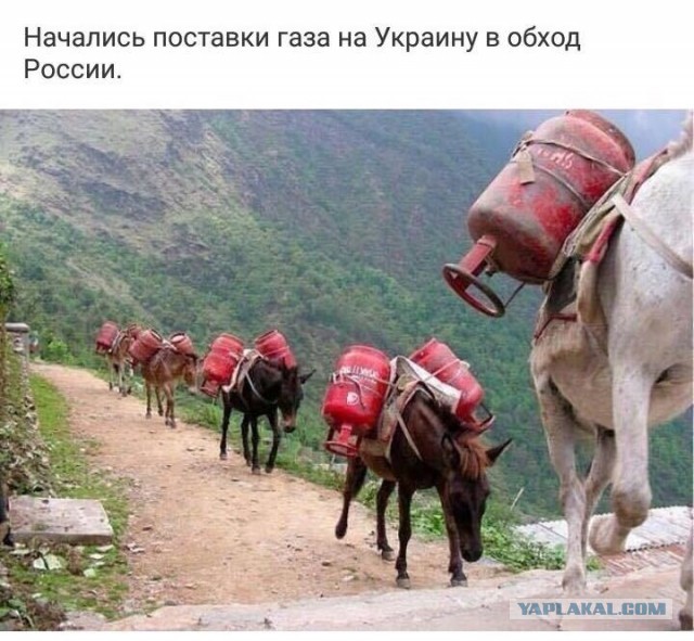 Владимир Зеленский заявил, что рассчитывает на долгосрочное сотрудничество с Норвегией в сфере поставок газа