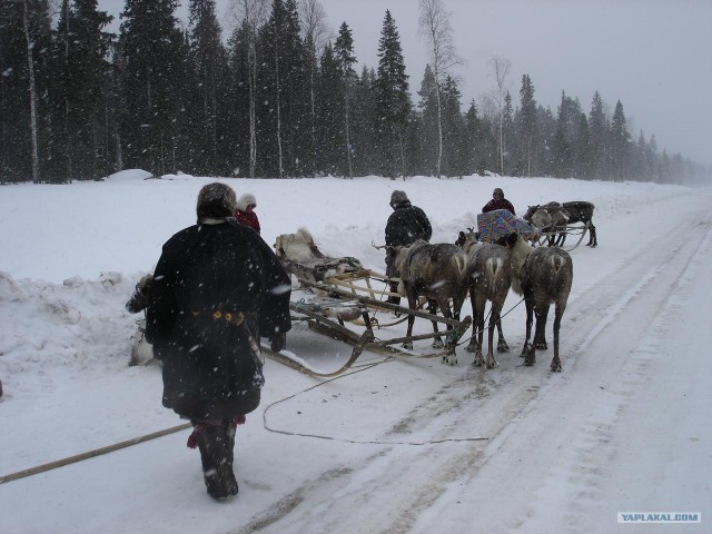 встреча на дороге