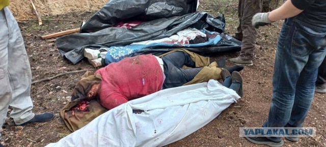Карательный отряд СБУ вошел в Старый Салтов в Харьковской области