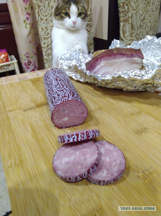 Не люблю и не хочу готовить! Муж надоел с претензиями