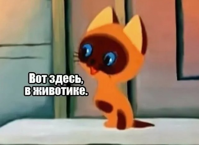 Ну очень "прямое доказательство", что в подземельях «Азовстали» прятались очень непростые люди