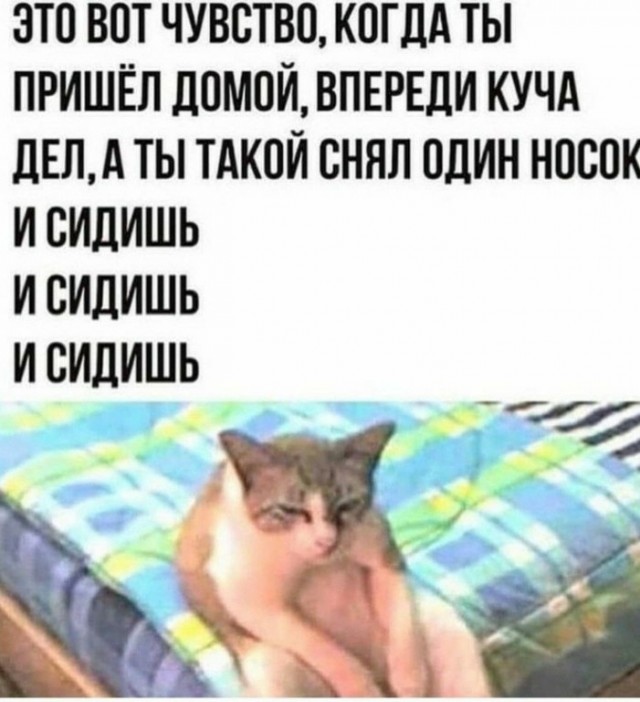 Выходи в отпуск, говорили они