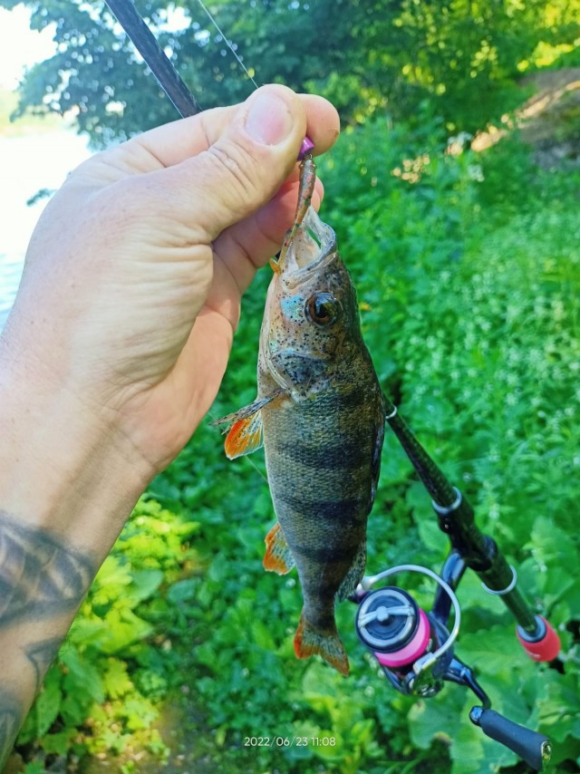 Сбежал с работы на пару часиков и вот что вышло...