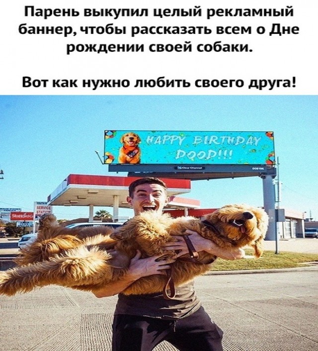 Картинки и мемы для настроения - 29