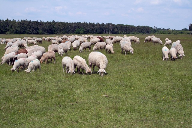 Деревня в которой я живу