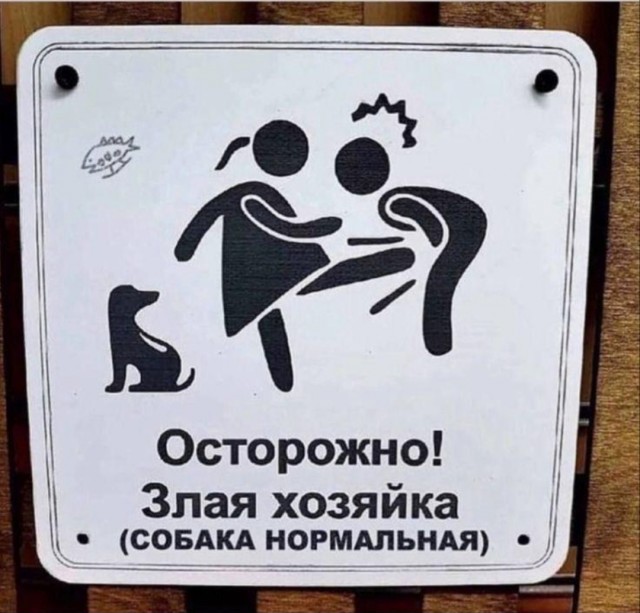 Картинки и мемы для настроения - 31