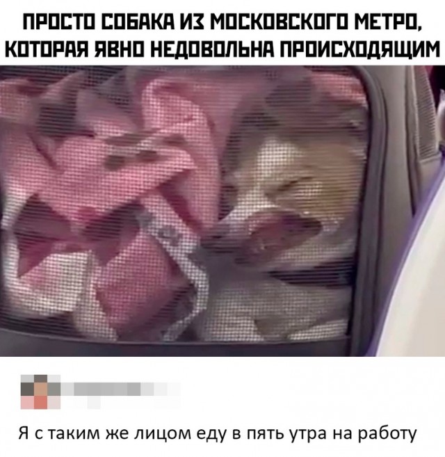 Картинки и мемы для настроения - 17