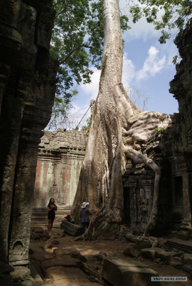 Жизнь на озере Тонлесап в Камбодже