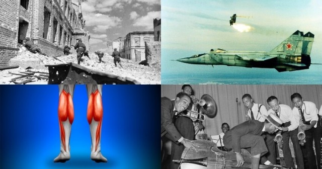 Удивительные факты и любопытные истории, о которых вы возможно не знали