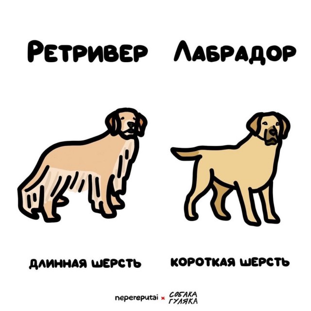 Смотри, Кутузов, не перепутай... vol.3