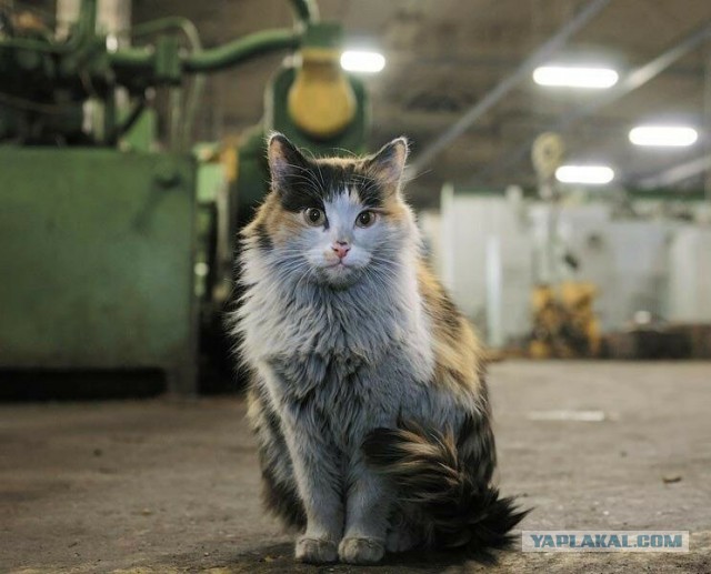- А помнишь, как мы оси точили, а потом пазы фрезеровали?