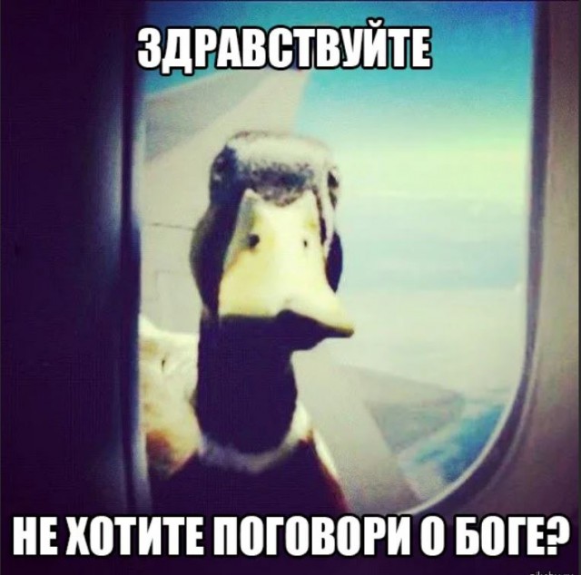 Победная поступь идиотизма по планете – том 12