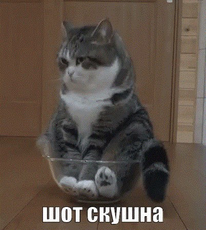 Победная поступь идиотизма по планете – том 13