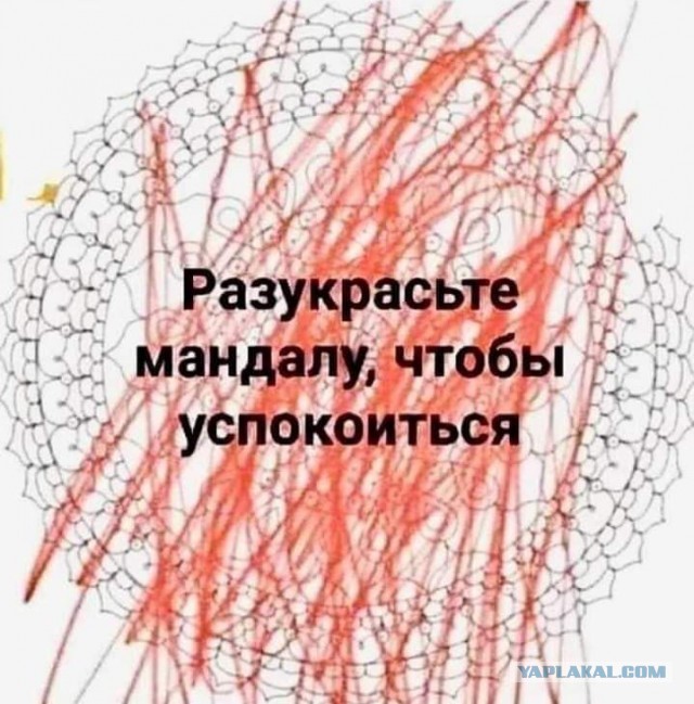 Я тёща. Проблемы с зятем. Дайте совет