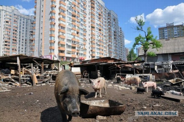 Житель Подмосковья не пожелал переселяться из квартиры мечты и отказался от 15 вариантов жилья