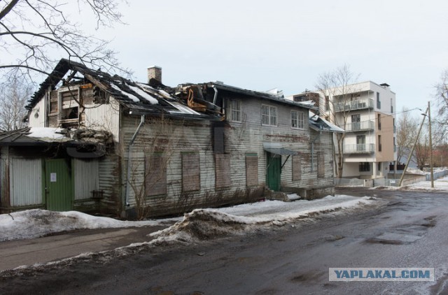 Все, что вы хотели знать об Эстонии...