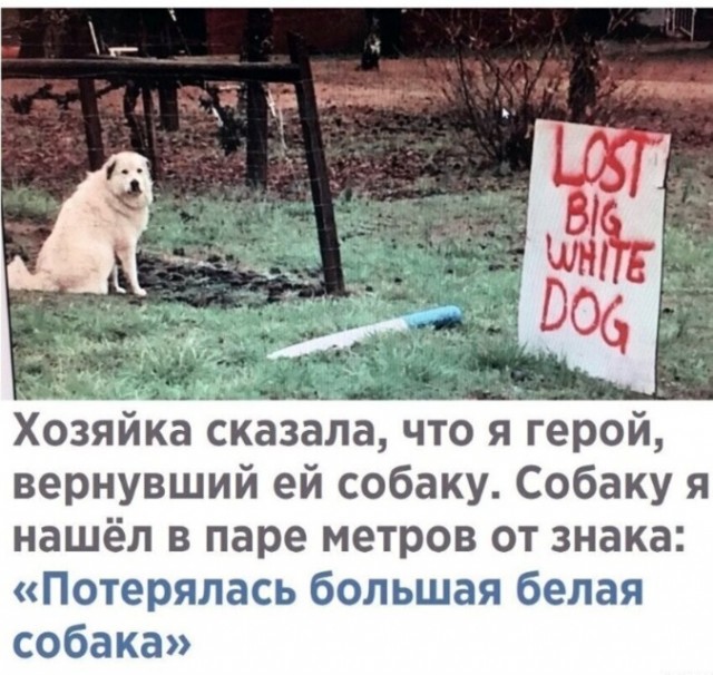 Картинки и мемы для настроения - 187