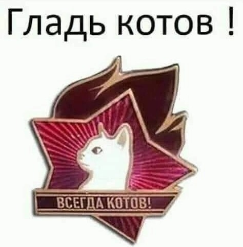 Нуштош 10.08.2023