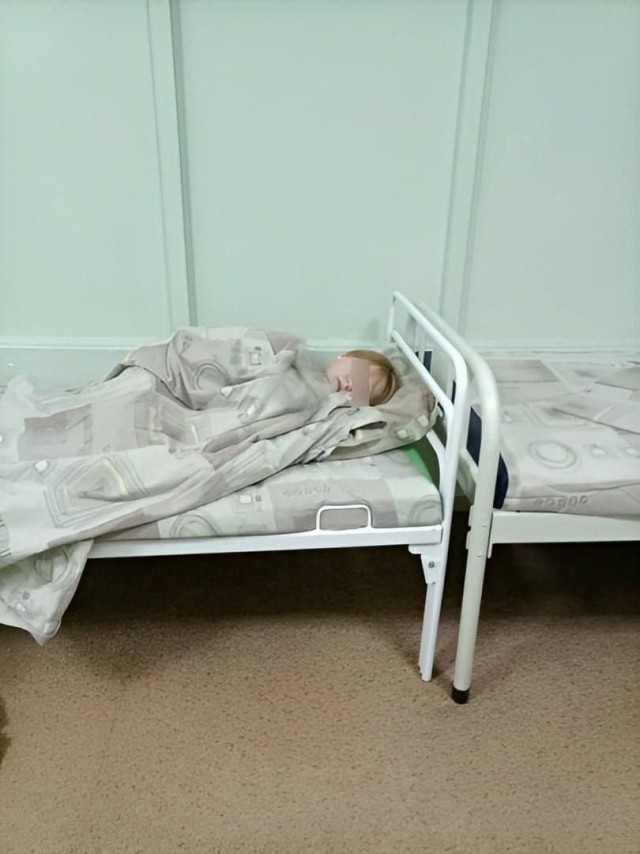 В мире животных