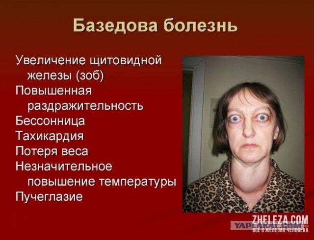 Я и мой уровень английского