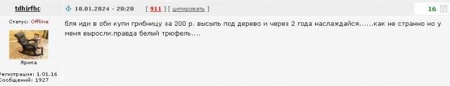 Почему трюфели так дорого стоят? Это ведь просто грибы!
