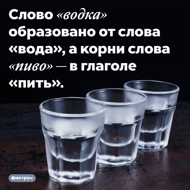 Весёлый полтишок 04.03.24