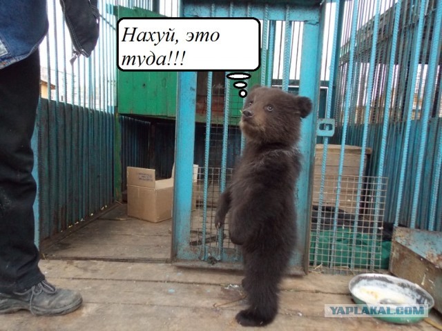 По прозвищу Тихон