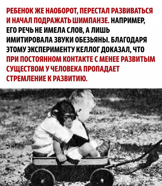 Про интеграцию в общество