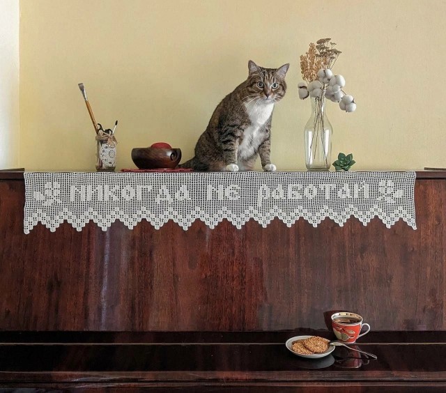 Так себе картинки 31.05.24