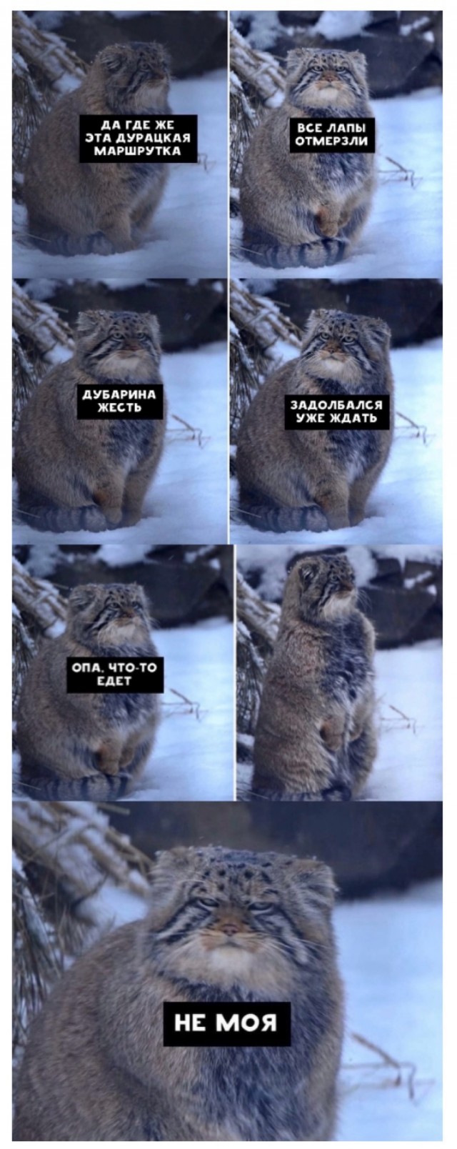 Завалялось тут случайно немного забавных картинок