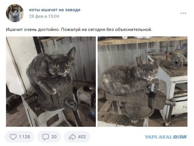 Осмотр ходовой