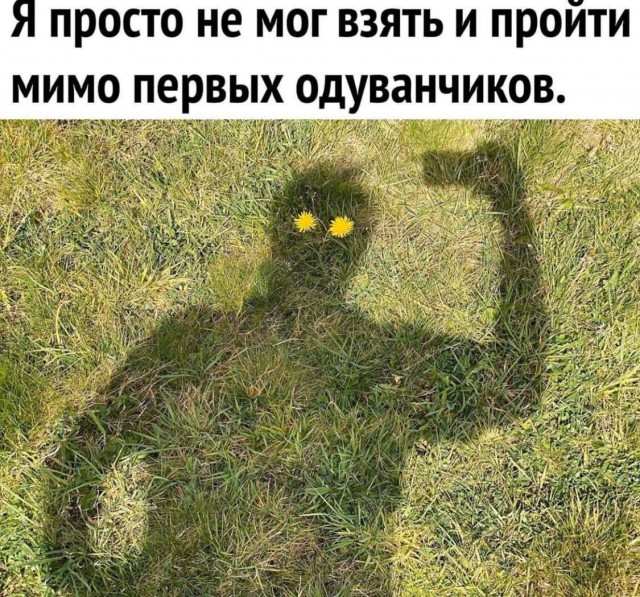 Немного наркомании и шизофрении в ленту