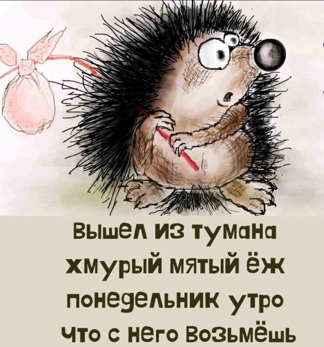 19513321.jpg