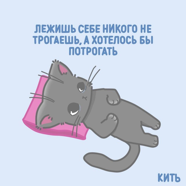 Весёлый полтишок 06.12.24