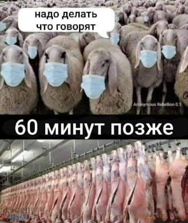 Мандаты на вакцинацию против COVID-19 были на 100% политическим решением