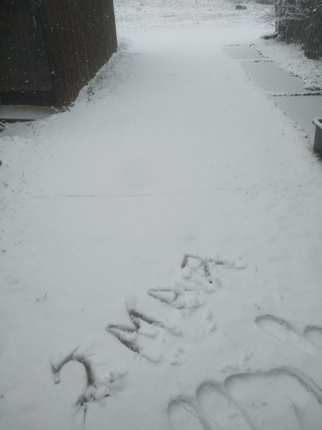 Зима вернулась.