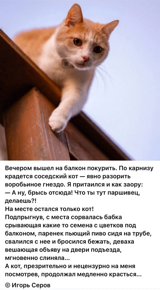 Так себе картинки 14.06.25