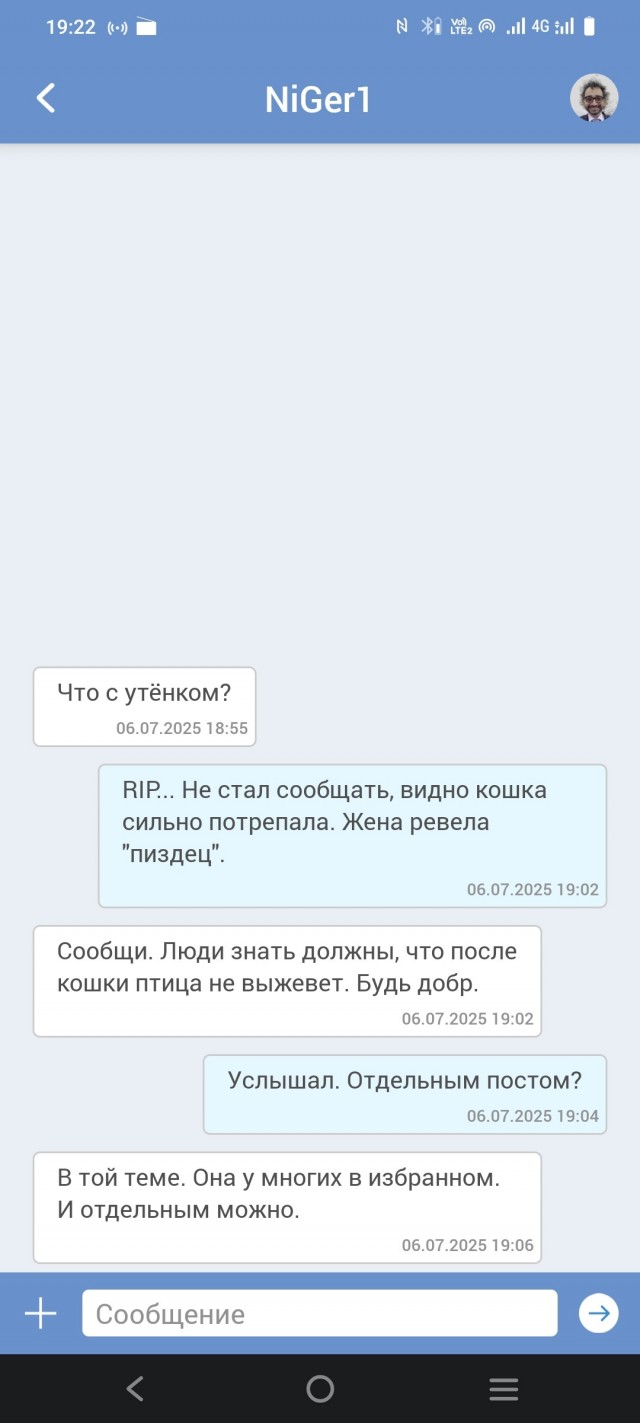 Муха... Но не про это.
