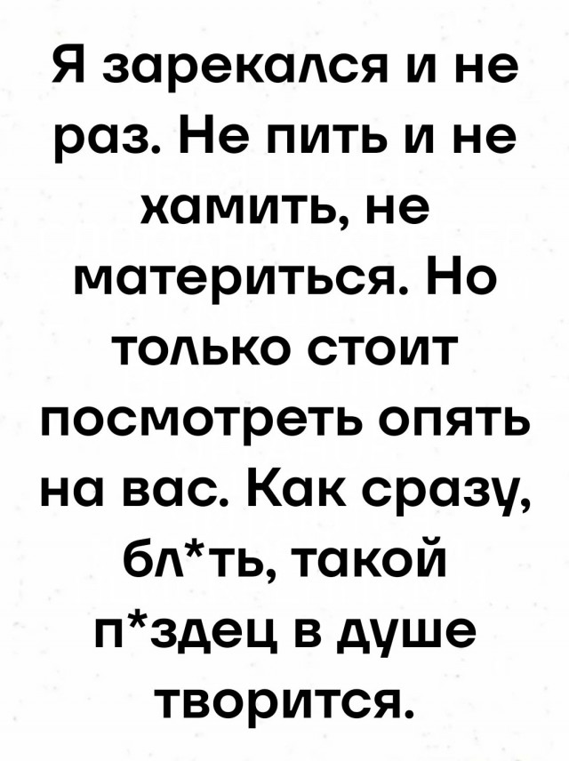 Так себе картинки 29.07.25