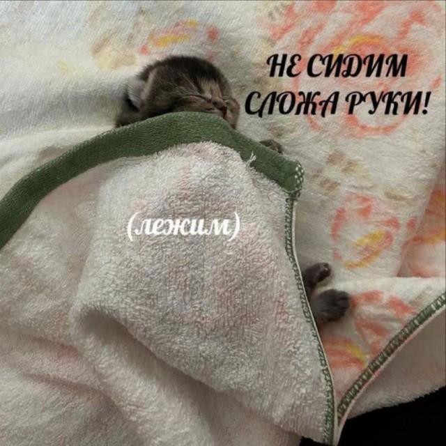 Немного картинкафф для настроения (баяны-перебаяны)