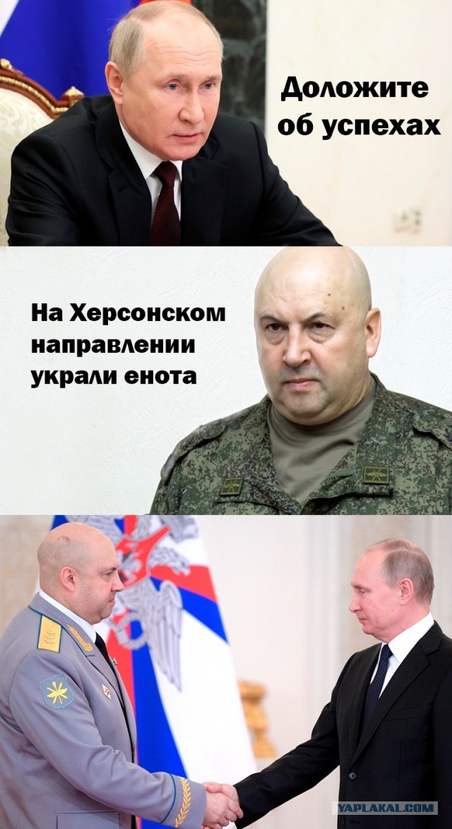 Не надоела политика? Хотите или нет покажу как дом еноту строил.