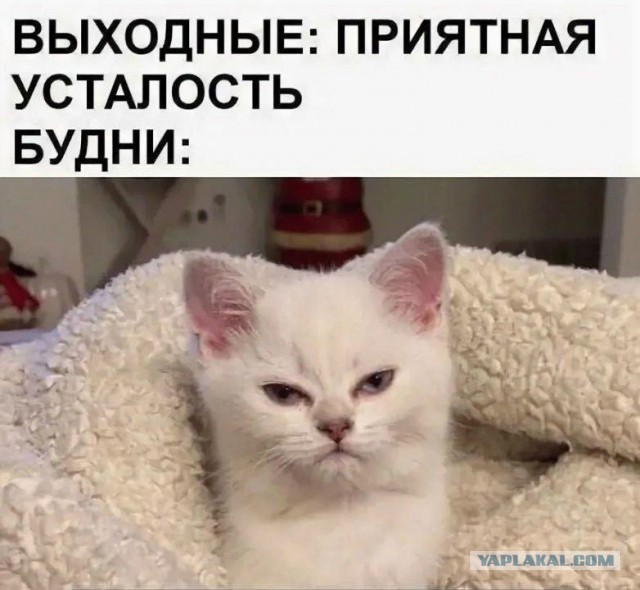 Картинки для деградации 57 (разной степени свежести)