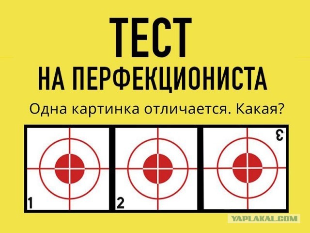 "У меня с мозгами не всё в порядке" - ненормальные картинки