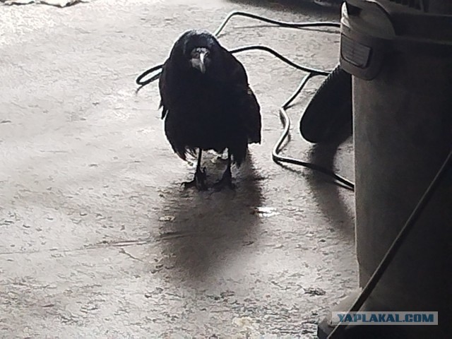 Утро начинается...