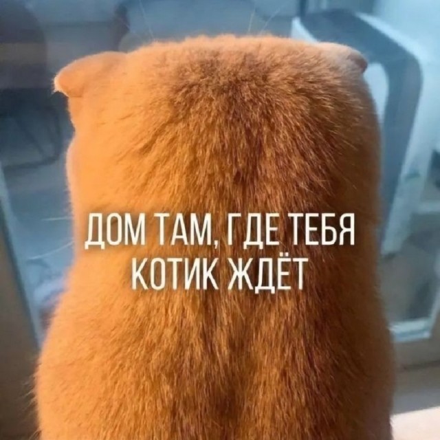 Так себе картинки 29.01.26