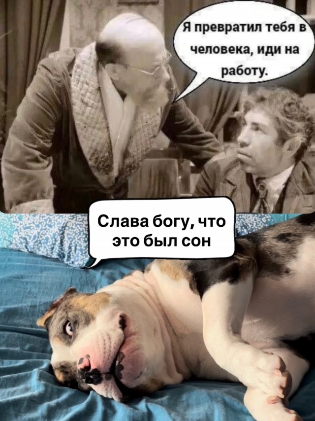 Картинки для деградации 139 (разной степени свежести)
