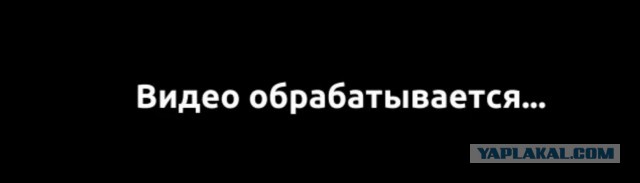 Не знаете, что подарить маме, сестре, бабушке, жене или подруге на 8 марта? Есть решение