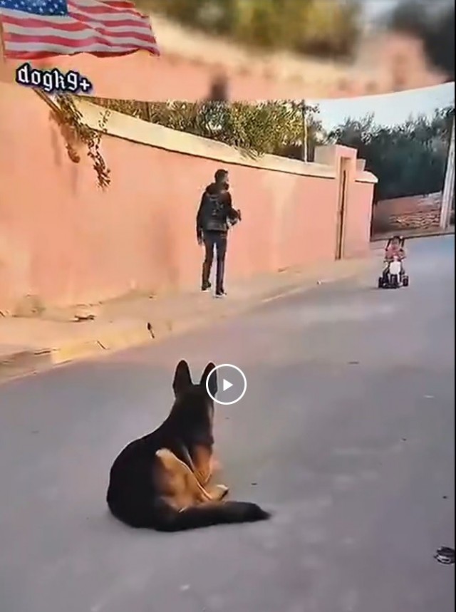 Ну что Пацаки, ловим Малину!