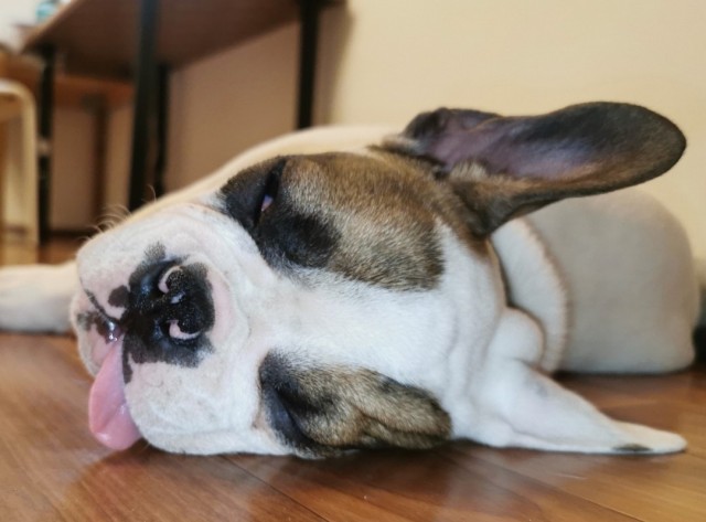 Забавные и интересные фото из Сети 23.04.26